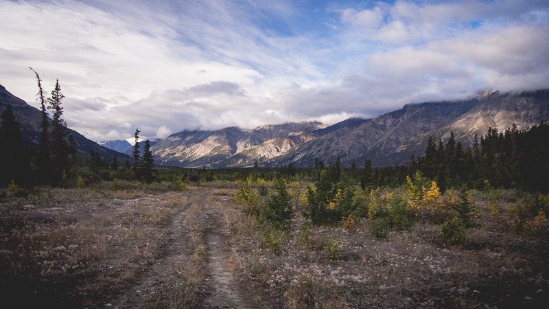 Park Kluane Yukon Kanada